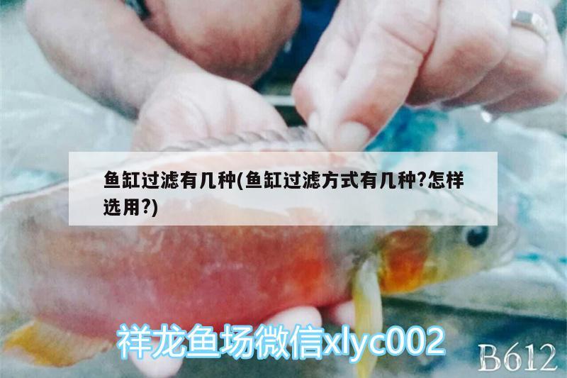 魚(yú)缸過(guò)濾有幾種(魚(yú)缸過(guò)濾方式有幾種?怎樣選用?) 刀魚(yú)魚(yú)