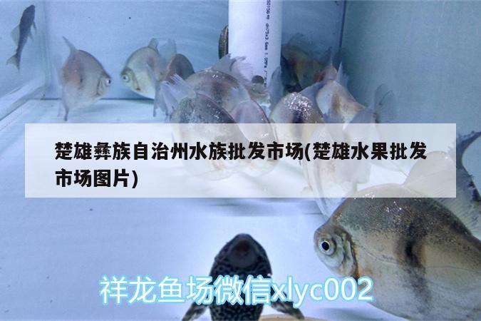 楚雄彝族自治州水族批發(fā)市場(楚雄水果批發(fā)市場圖片)