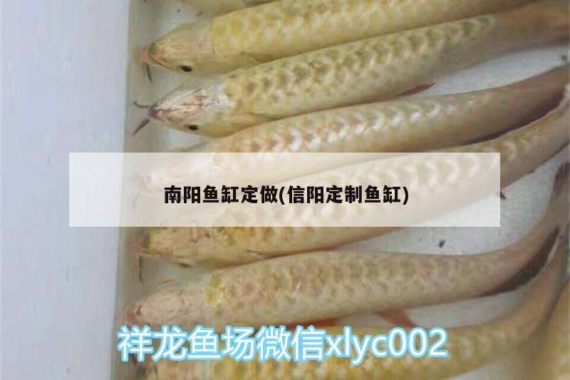 南陽魚缸定做(信陽定制魚缸)