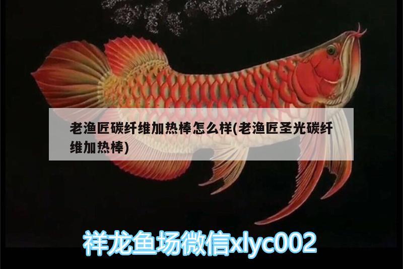 老漁匠碳纖維加熱棒怎么樣(老漁匠圣光碳纖維加熱棒) 水族雜談