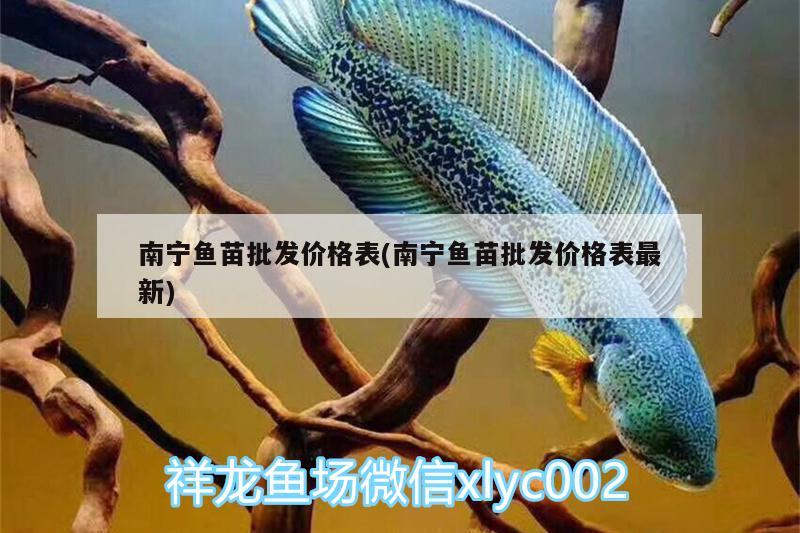 南寧魚苗批發(fā)價格表(南寧魚苗批發(fā)價格表最新) 魚糧魚藥