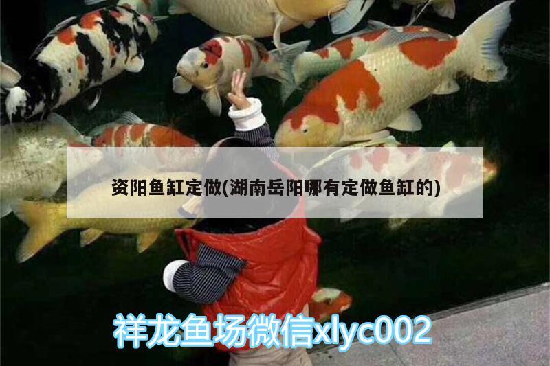 資陽魚缸定做(湖南岳陽哪有定做魚缸的)