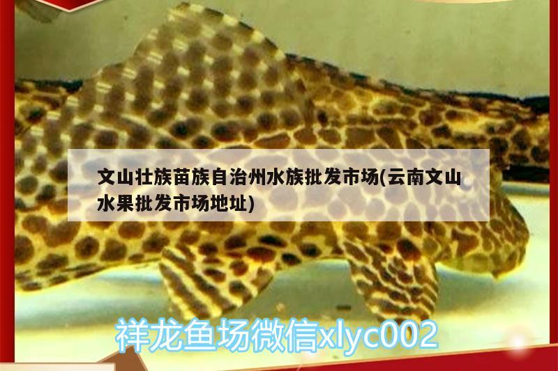 文山壯族苗族自治州水族批發(fā)市場(chǎng)(云南文山水果批發(fā)市場(chǎng)地址)