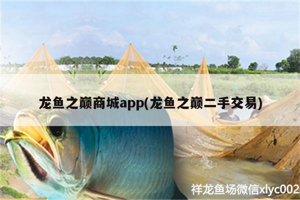 龍魚之巔商城app(龍魚之巔二手交易) 魚缸等水族設(shè)備