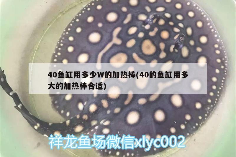 40魚缸用多少W的加熱棒(40的魚缸用多大的加熱棒合適) 魚糧魚藥