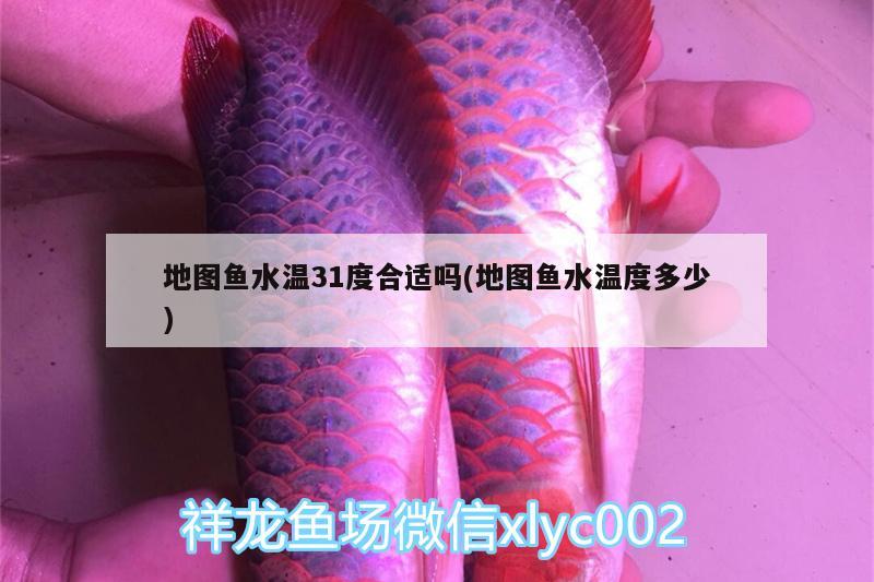 地圖魚水溫31度合適嗎(地圖魚水溫度多少) 魚缸凈水劑