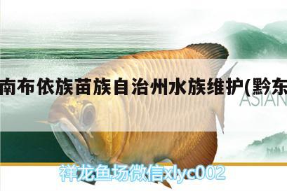 黔西南布依族苗族自治州水族維護(黔東南水族) 觀賞魚飼料