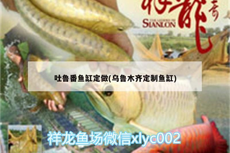 吐魯番魚缸定做(烏魯木齊定制魚缸) 印尼虎苗