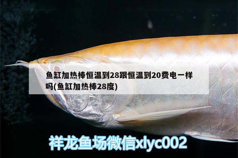 魚缸加熱棒恒溫到28跟恒溫到20費電一樣嗎(魚缸加熱棒28度)