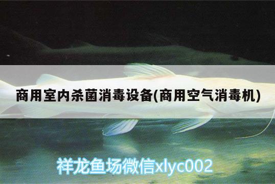 商用室內(nèi)殺菌消毒設(shè)備(商用空氣消毒機(jī)) 殺菌消毒設(shè)備