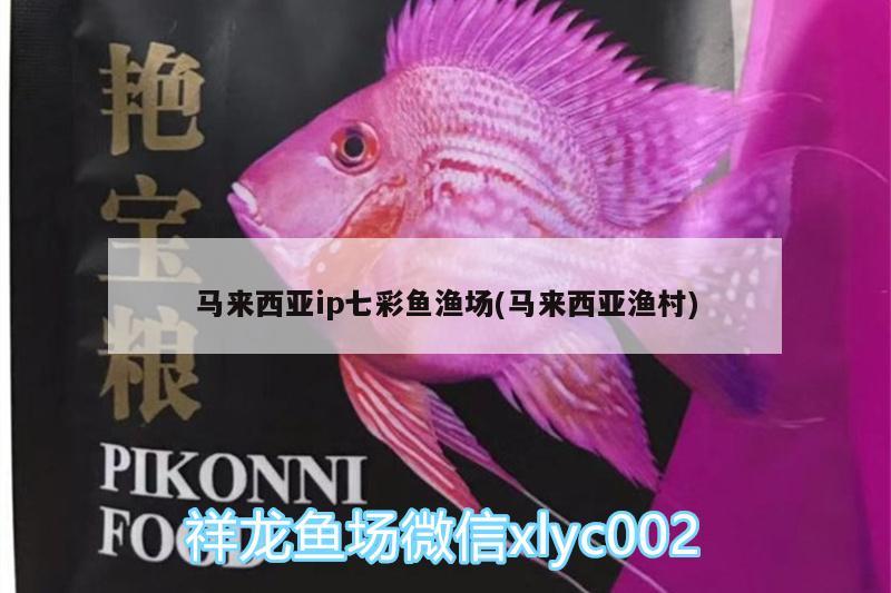 馬來西亞ip七彩魚漁場(馬來西亞漁村) 祥龍水族濾材/器材