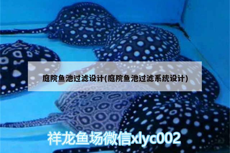 庭院魚池過濾設計(庭院魚池過濾系統(tǒng)設計) 紅老虎魚