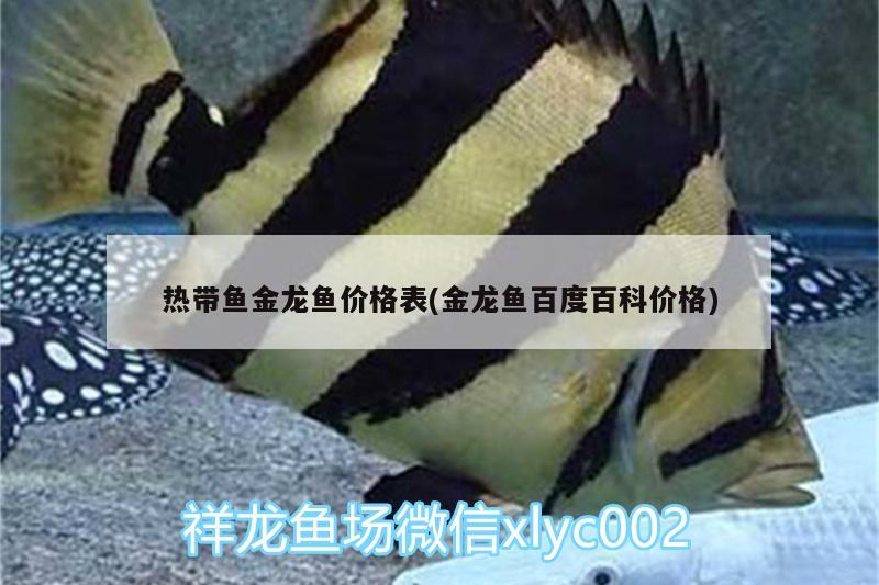 熱帶魚金龍魚價(jià)格表(金龍魚百度百科價(jià)格)