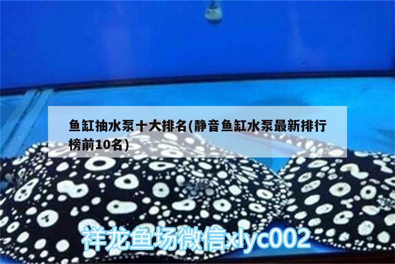 魚缸抽水泵十大排名(靜音魚缸水泵最新排行榜前10名) 魚缸水泵