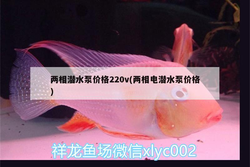 兩相潛水泵價格220v(兩相電潛水泵價格)