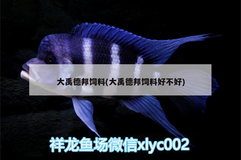 大禹德邦飼料(大禹德邦飼料好不好) 觀賞魚(yú)批發(fā)