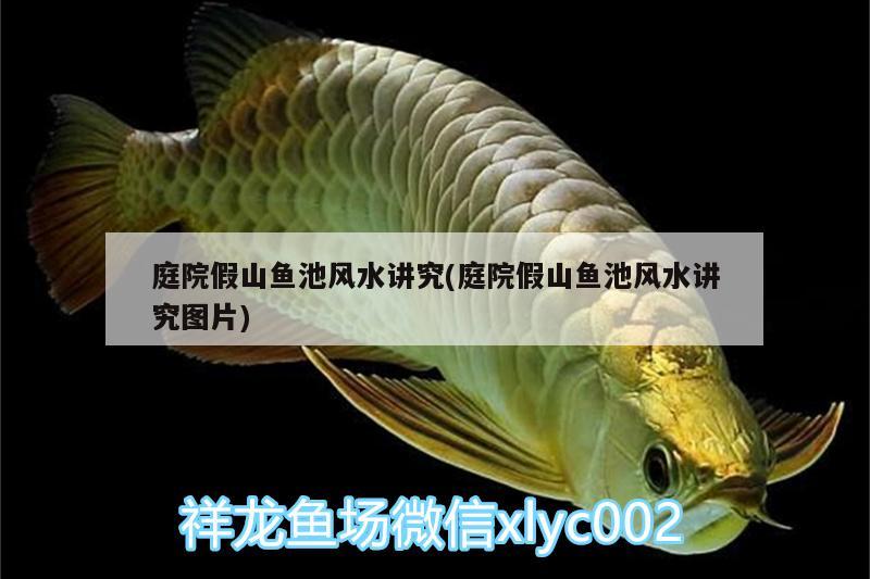 庭院假山魚池風(fēng)水講究(庭院假山魚池風(fēng)水講究圖片)