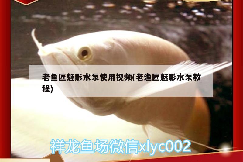 老魚匠魅影水泵使用視頻(老漁匠魅影水泵教程) 老魚匠