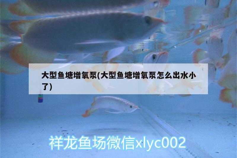 大型魚塘增氧泵(大型魚塘增氧泵怎么出水小了)