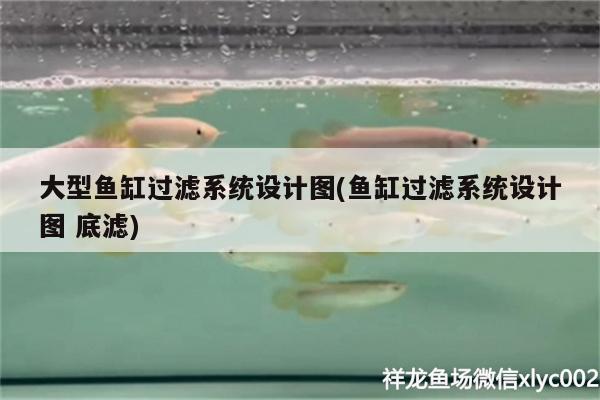 大型魚缸過濾系統(tǒng)設(shè)計(jì)圖(魚缸過濾系統(tǒng)設(shè)計(jì)圖底濾) 海象魚