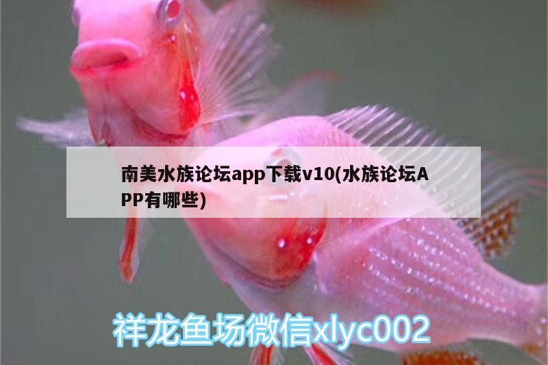 南美水族論壇app下載v10(水族論壇APP有哪些)