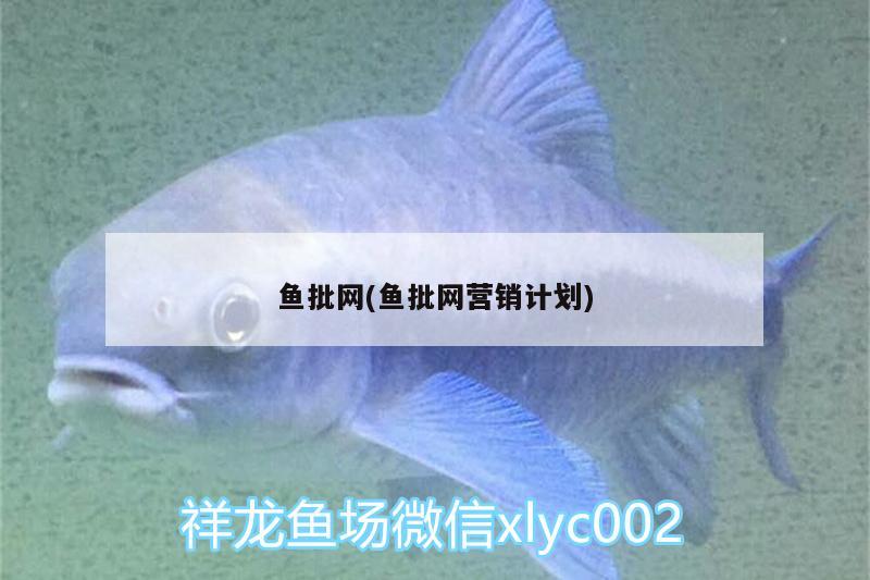 魚批網(wǎng)(魚批網(wǎng)營(yíng)銷計(jì)劃) 觀賞蝦蟹等飼料