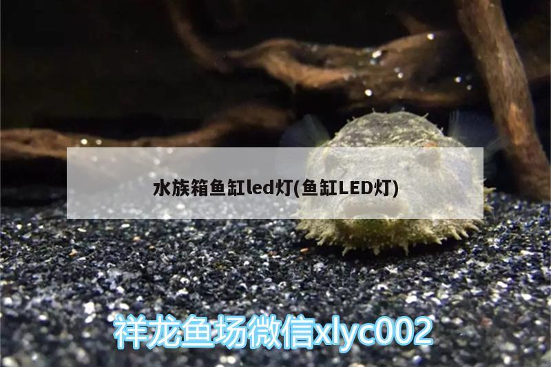 水族箱魚缸led燈(魚缸LED燈)