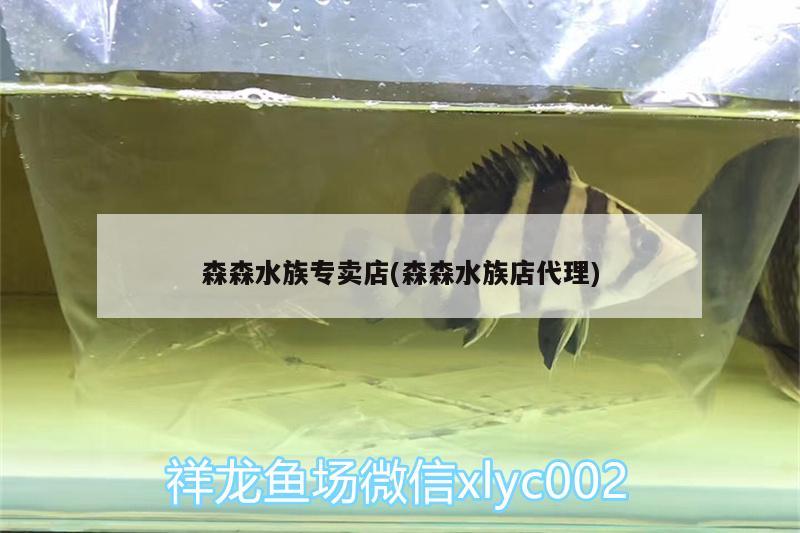 森森水族專賣店(森森水族店代理)