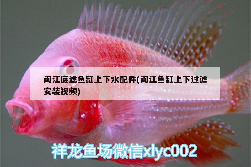 閩江底濾魚缸上下水配件(閩江魚缸上下過濾安裝視頻) 照明器材