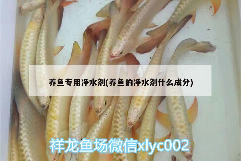 養(yǎng)魚(yú)專用凈水劑(養(yǎng)魚(yú)的凈水劑什么成分) 巴西亞魚(yú) 第1張