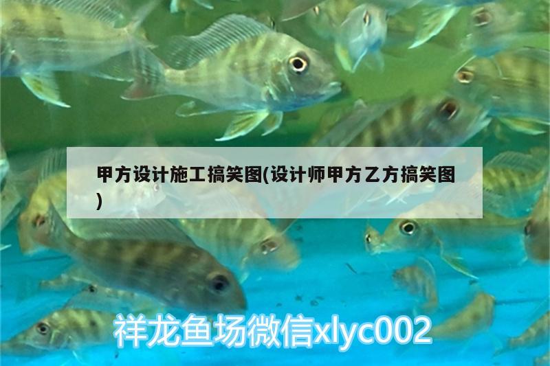 甲方設計施工搞笑圖(設計師甲方乙方搞笑圖)