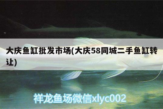 大慶魚缸批發(fā)市場(chǎng)(大慶58同城二手魚缸轉(zhuǎn)讓)