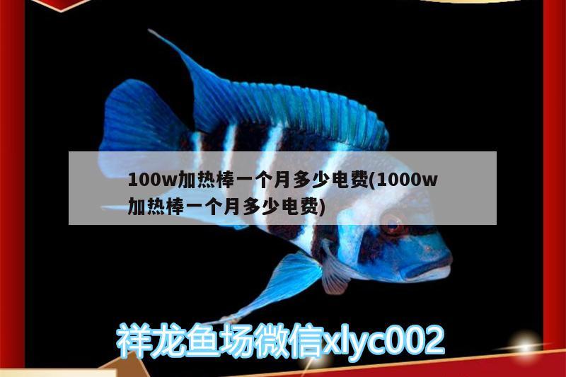 100w加熱棒一個月多少電費(1000w加熱棒一個月多少電費)