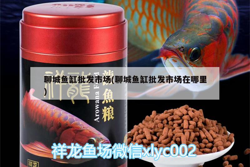 聊城魚缸批發(fā)市場(聊城魚缸批發(fā)市場在哪里) 一眉道人魚苗