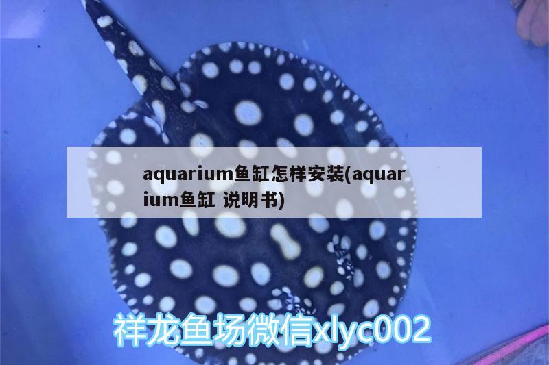 aquarium魚缸怎樣安裝(aquarium魚缸說明書)