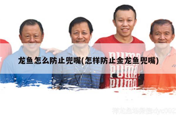 龍魚怎么防止兜嘴(怎樣防止金龍魚兜嘴) 其他益生菌