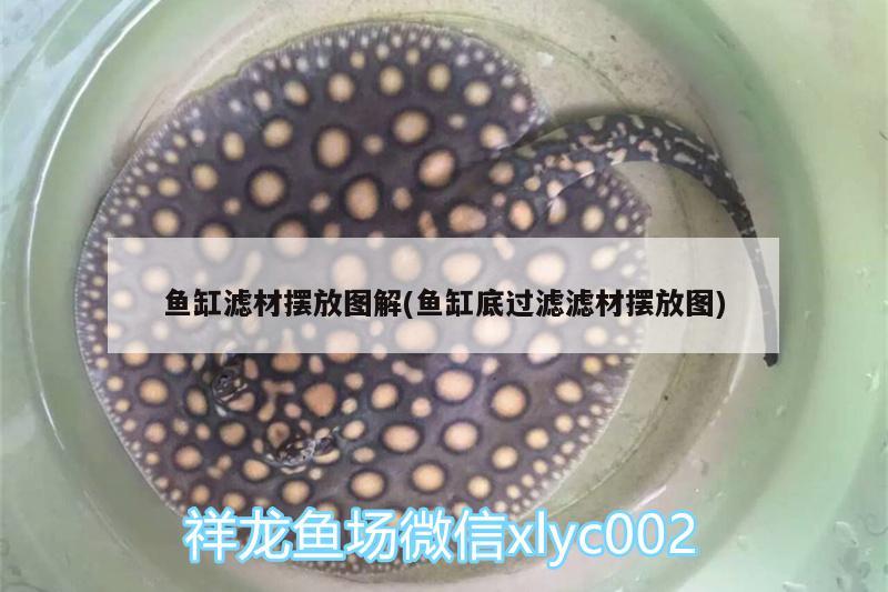 魚缸濾材擺放圖解(魚缸底過濾濾材擺放圖) 雙線側(cè)魚