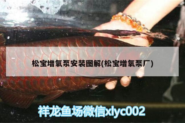 松寶增氧泵安裝圖解(松寶增氧泵廠) 大白鯊魚(yú)