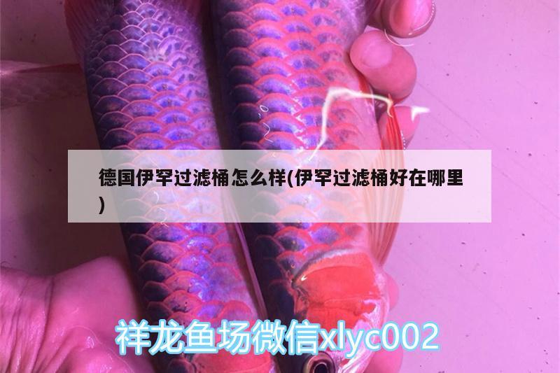 德國伊罕過濾桶怎么樣(伊罕過濾桶好在哪里)