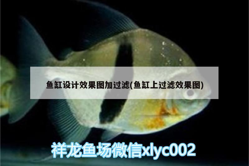 魚缸設(shè)計(jì)效果圖加過濾(魚缸上過濾效果圖) 溫控設(shè)備