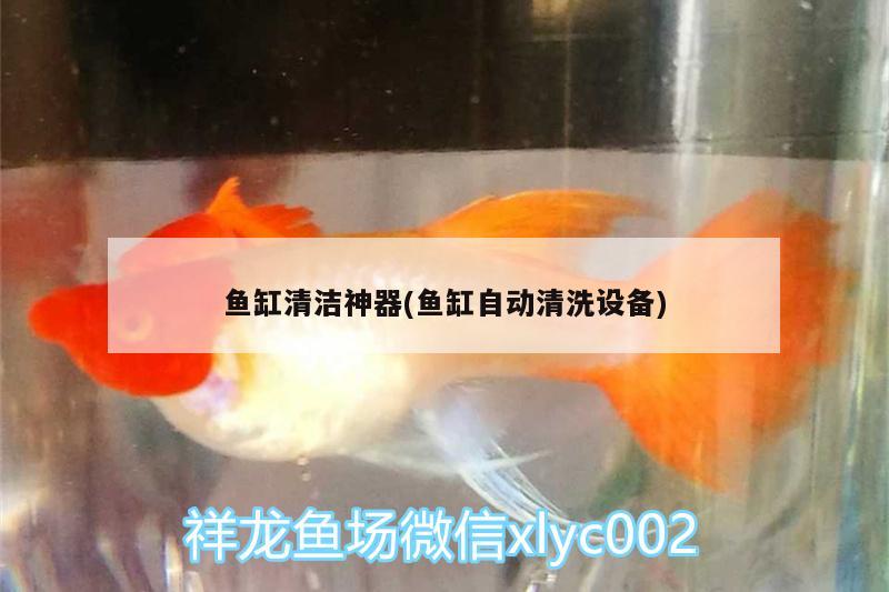 魚缸清潔神器(魚缸自動清洗設備)