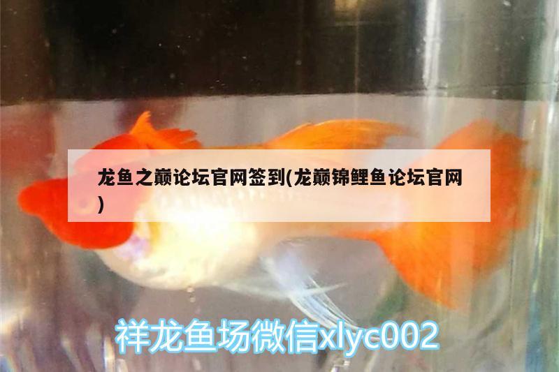 龍魚之巔論壇官網(wǎng)簽到(龍巔錦鯉魚論壇官網(wǎng)) 銀河星鉆魚