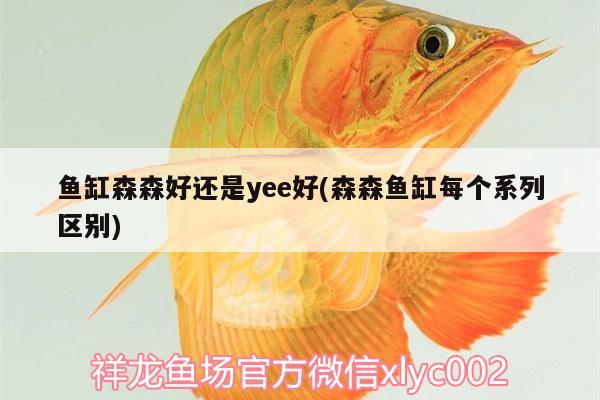 魚缸森森好還是yee好(森森魚缸每個系列區(qū)別)