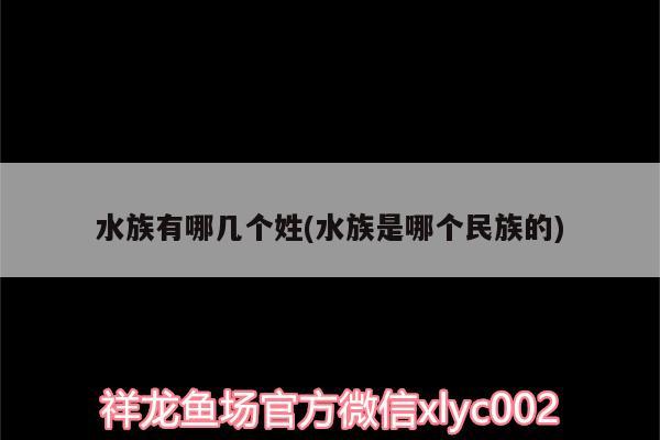 水族有哪幾個(gè)姓(水族是哪個(gè)民族的)