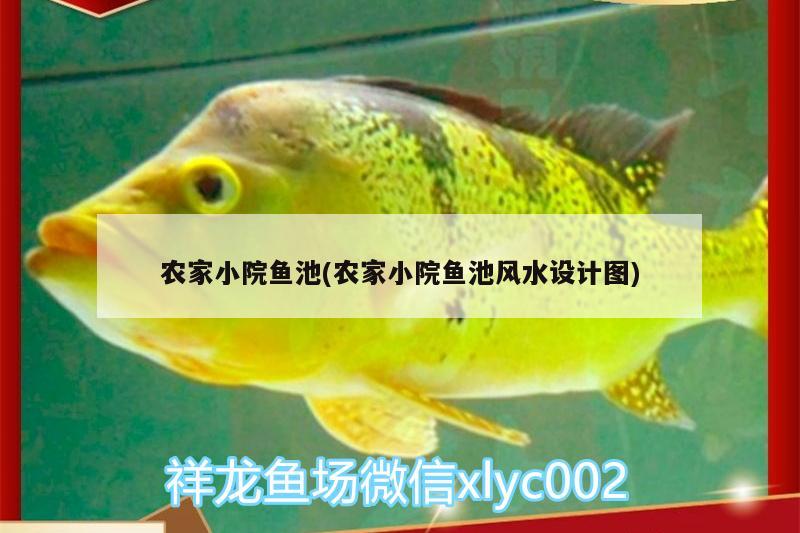 農(nóng)家小院魚(yú)池(農(nóng)家小院魚(yú)池風(fēng)水設(shè)計(jì)圖) 魚(yú)缸風(fēng)水