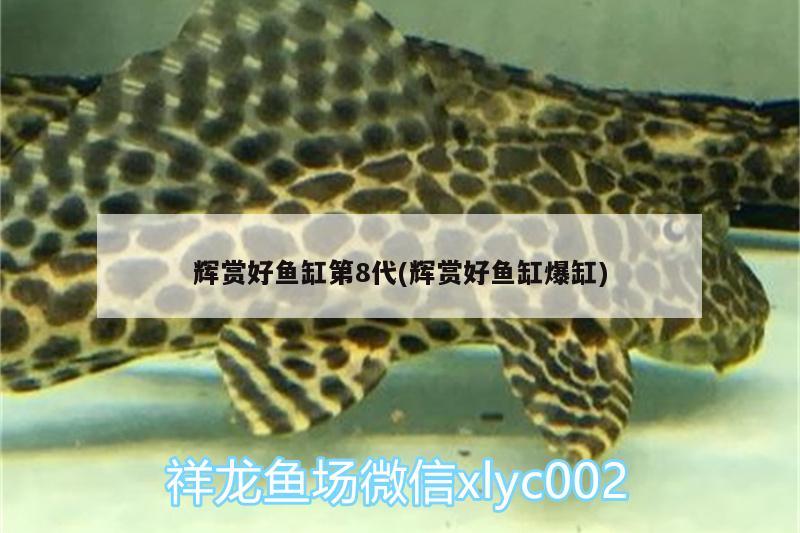 輝賞好魚缸第8代(輝賞好魚缸爆缸)