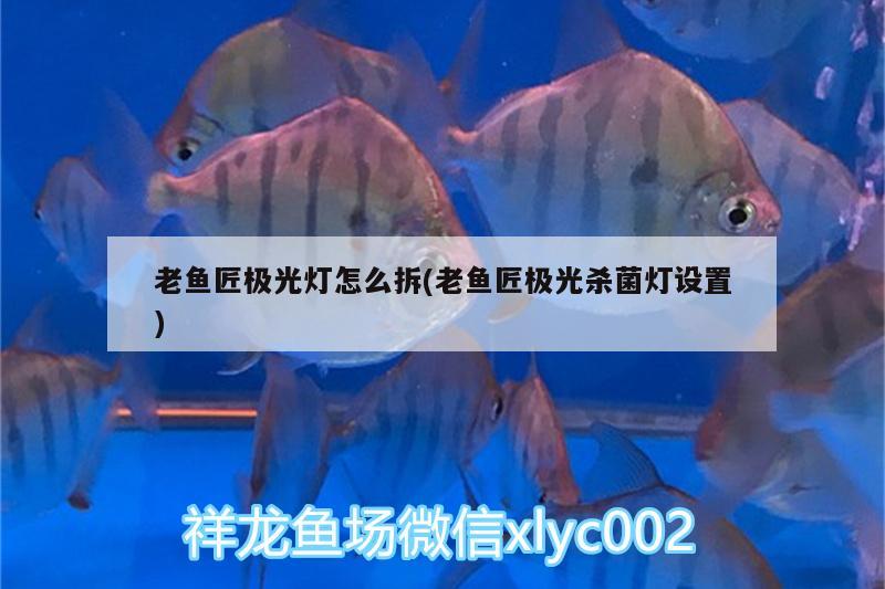 老魚匠極光燈怎么拆(老魚匠極光殺菌燈設(shè)置)