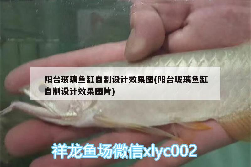 陽臺玻璃魚缸自制設(shè)計效果圖(陽臺玻璃魚缸自制設(shè)計效果圖片)