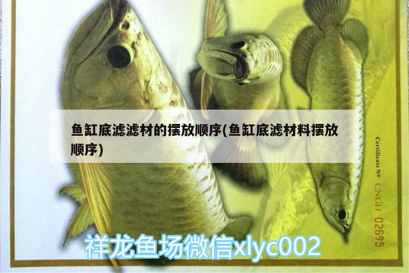 魚缸底濾濾材的擺放順序(魚缸底濾材料擺放順序)