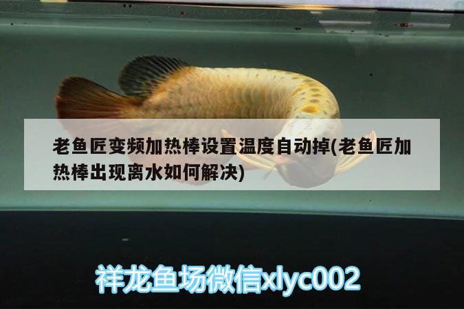 老魚匠變頻加熱棒設置溫度自動掉(老魚匠加熱棒出現(xiàn)離水如何解決) 老魚匠